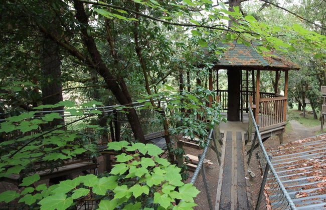 Out 'N' About Treehouse Treesort - Foto 69