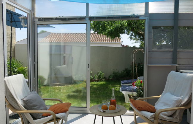 Roses Tremières - Foto 13