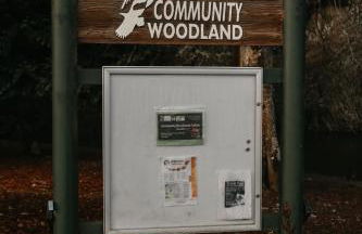 Luxurious Apartment in Inverness - Photo 32