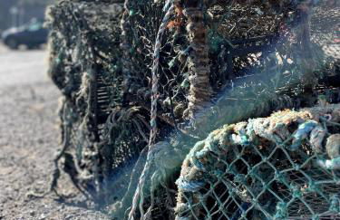 Rose Wynd Cottage-Close to beach - Foto 19