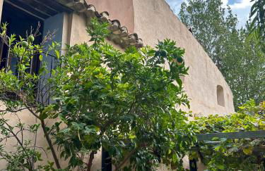 Finca Vitoria - Foto 25