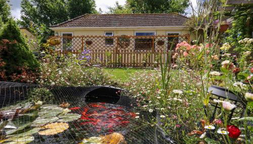 Little Timbers - Foto 2