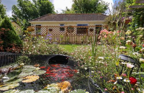 Little Timbers - Foto 2