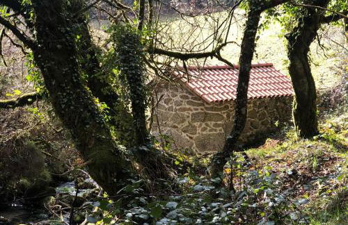 Casa da Fonte, Monte - Foto 36