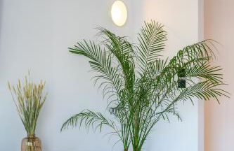 Memphis Suites Kos Center - Photo 68