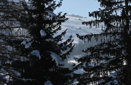 Les bouquetins - Foto 49