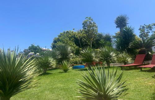 CASA DIEGO - Photo 1