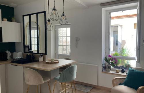 LE SAINT CYP - Toulouse - appart entier cosy et au calme, proche du métro - Foto 1