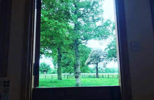 The Owls Rest Shepherds Hut Hethel - Foto 15