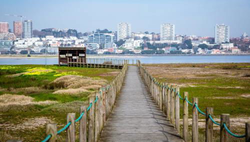 Casa da Barra - Foto 5