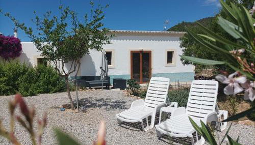 Can Pep Pardal - Foto 3, Garden, Garden view