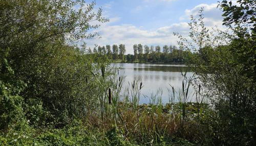 Gemütliche Ferienwohnung im Westerwald - "Ferienwohnung Braun" - Foto 3