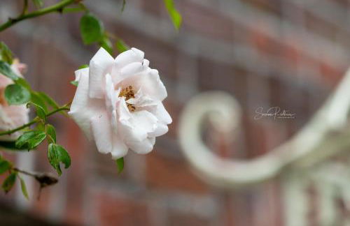 Nordsee-Domizil - Foto 20