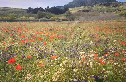 FINCA LA JORADITA - Foto 30