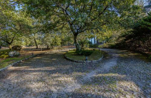 Quinta de Santa Luzia - Foto 61