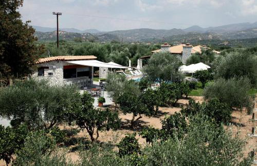 Asfendamos - Foto 32