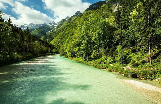 Nice Apartment Near Lake Bled With Views Over Stol Mountain - Foto 16
