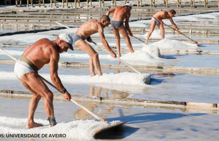 Quinta das Águias - Foto 12