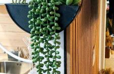 Escapade au cœur de Luce chartres - Foto 13