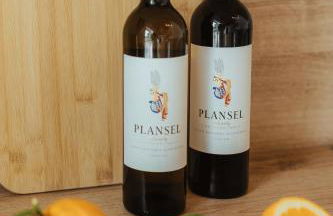 Alojamentos Plansel - No Coração das Vinhas do Alentejo - Foto 59