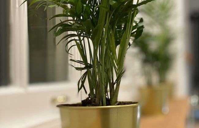 Brand new 1-bed Apartment in Weston-super-mare - Foto 32