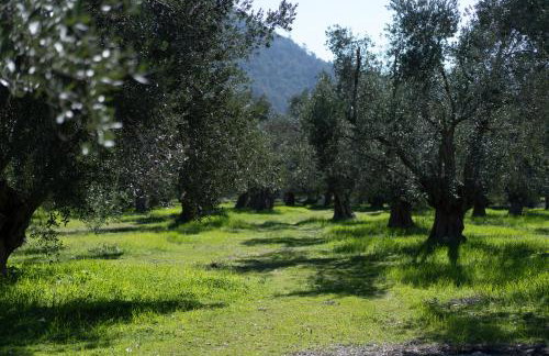 Tzànnou farm residence - Foto 65