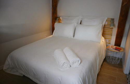 Villa Noellet - Clermont Ferrand - Foto 12