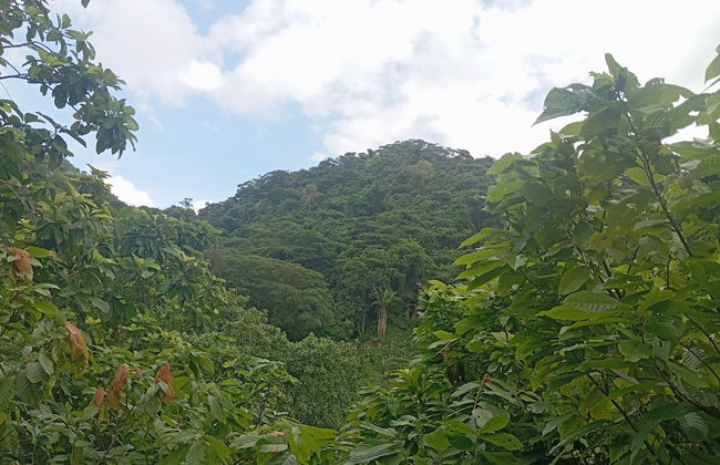 Cabaña Nuisuni - Foto 7