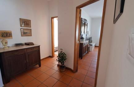 Árvore Cozy com Jardim - Foto 15