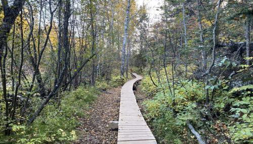 Gooseberry Trailside Suites by Heirloom Boutique Collection - Foto 3