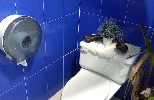 Room in Guest Room - Green Sea Inn San Luis Harmony Hall Hill - Foto 13