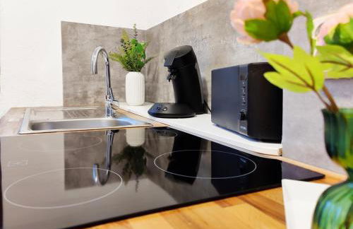 Ruhe und Komfort in Magdeburg - Foto 8