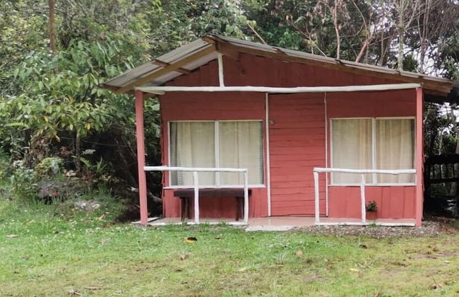 Millar de Aves - Foto 4