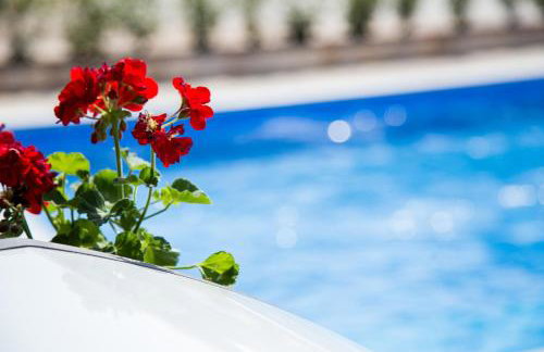 Apartment Villa Two Palms - Photo 15