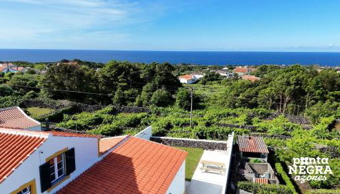 The Biscuit House by PontaNegraAzores - Photo 4, Other