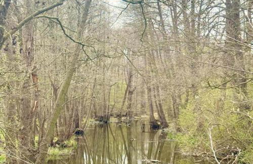 Peaceful Retreat by the Lake - Foto 45