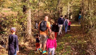 Agriturismo la Fattoria al Crocefisso - Foto 3