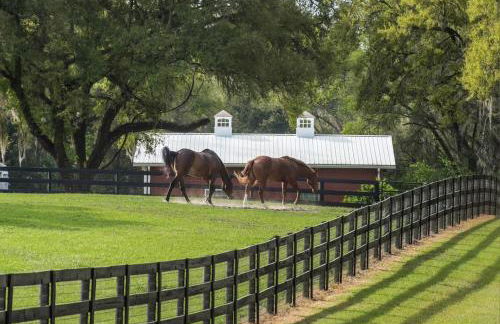 Tranquil Suite with Porch Less Than 2 Mi to Cedar Lakes! - Foto 31