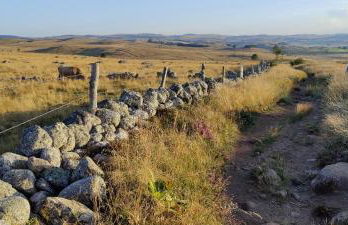 L'Oustalou - Tiny house en Aubrac - calme & nature - Foto 45