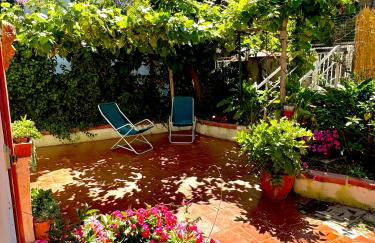 L'orchidea del faro - Foto 1