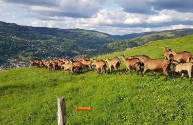 Chalet SPA Le Diamant Nathalie MN La Rouge - Foto 50