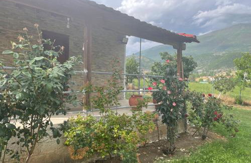 Villa Olympus - Photo 21