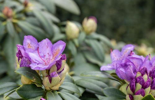 Agriturismo Pozzo Fiorito - Foto 87