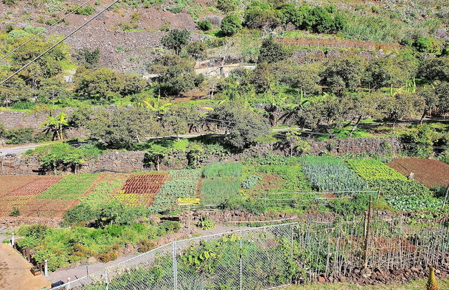 Fajã dos Padres - Foto 24