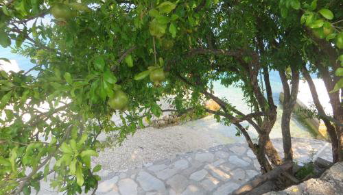 I&J Relaxing Beach Apartments - Foto 5