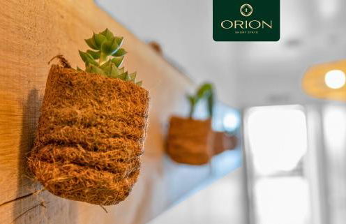 Creel Cottage No 3, Beach Front, Arbroath - Photo 21