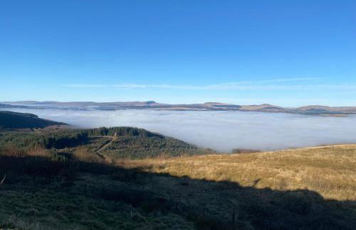 Herbert Place - Foto 39