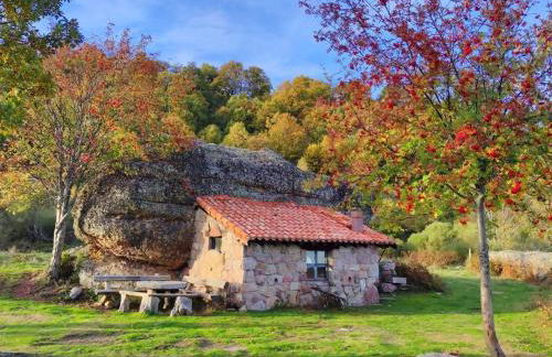 Casa Dulcinea en Brañosera - Foto 23