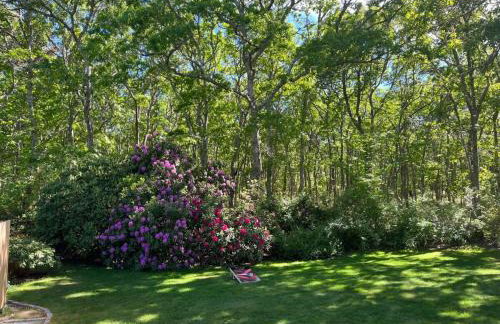 Stay On The Cape Vacation Rentals: Modern Family Retreat In Harwich - Foto 50