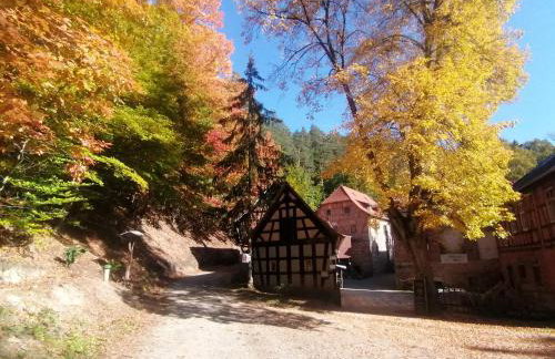 Naturhof-Papiermühle 3 Bett-Zimmer Immergrün - Foto 2